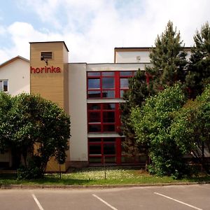 Penzion Horinka Velke Losiny Hotell Exterior photo