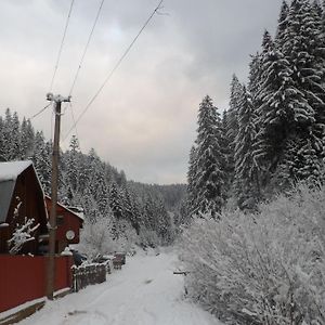 Садиба Бункер Чан Hotell Mizhhirya  Exterior photo