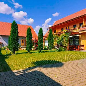 Pensiunea Keisd Bed & Breakfast Saschiz Exterior photo