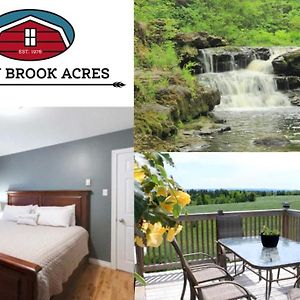 Rocky Brook Acres Hotell Cormack Exterior photo
