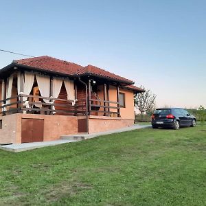 Kuca Tajna Banja Vrujci Villa Mionica Exterior photo