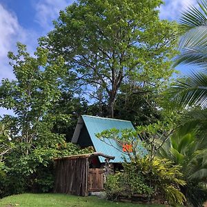 Rustic Cabin In Pavones Surf Brake Leilighet Exterior photo