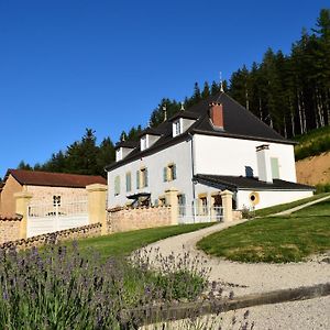 Le Domaine De La Source Hotell Chauffailles Exterior photo