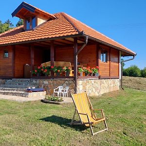 Kuca Za Odmor Filipovic Villa Gornji Milanovac Exterior photo