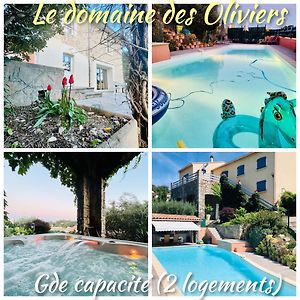 Le Domaine Des Oliviers Ales Piscine Jacuzzi Sauna Leilighet Exterior photo