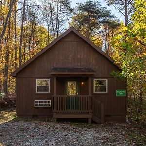 Blue Rose Cabins - Naughty Pine Cabin Logan Exterior photo