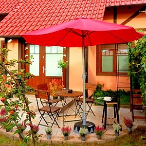 Cozy Apartament "Apples" For Travellers, Bbq Garden At Private House Leilighet Sulechów Exterior photo