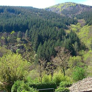 Auberge Le Romarin Hotell Valgorge Room photo