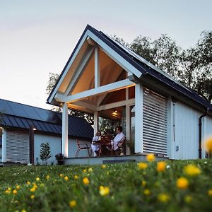 Tiny House - Optioneel Met Hottub Leilighet Dokkum Room photo