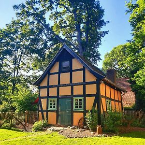 Auszeit Vom Alltag In Urigem Ferienhaus In Ruhiger, Idyllischer Natur Im Duemmer-Weserland Villa Rehden Exterior photo