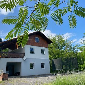 Ginkgo House Hotell Kehidakustány Exterior photo