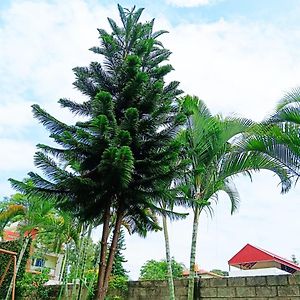 Cloud9Villa Yelagiri Exterior photo