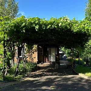 Zamisky Budinok Villa Rzhyshchiv Exterior photo