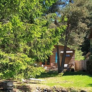 Chalet Grenouille Domaine De La Mamounette Villa Champclause Exterior photo