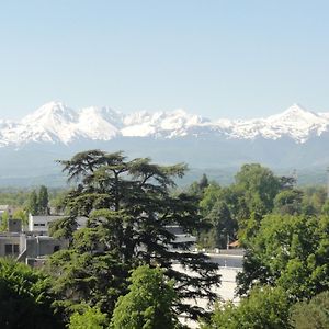 Cap Sud - 53M2- Vue Pyrenees- Hypercentre-Wifi Fibre Leilighet Tarbes Exterior photo