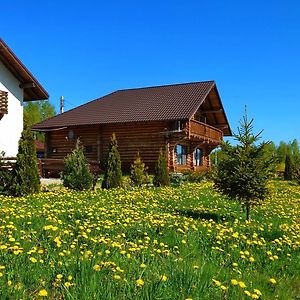 Pensiunea Lacul Mocearu Hotell Budesti  Exterior photo