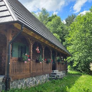 River Song Inn Viseu de Jos Exterior photo