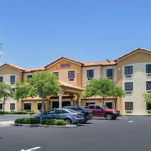 Comfort Inn & Suites Northeast - Gateway St. Petersburg Exterior photo