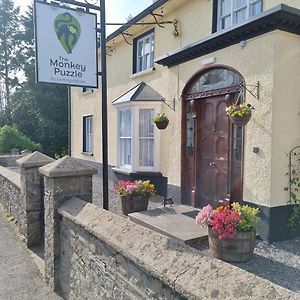The Monkey Puzzle Hotell Bunclody Exterior photo