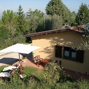 Podere Caldaruccio La Pineta - Bungalow Villa Ramazzano - Le Pulci Exterior photo