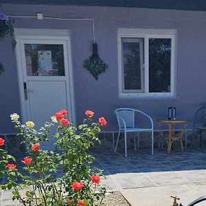 The Purple House-Villa In Bucureşti Exterior photo