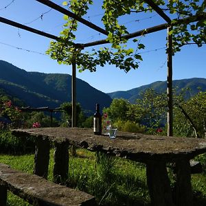 Wild Valley Garden Paradise In Valle Onsernone Leilighet Auressio Exterior photo