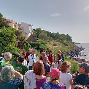 Aguadora Leilighet SantʼAntìoco Exterior photo