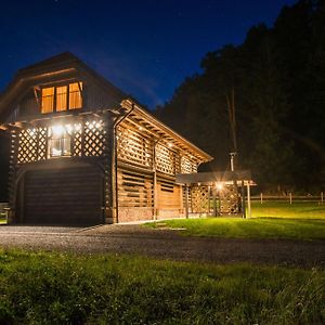 Hayrack Skok Mozirje Leilighet Exterior photo