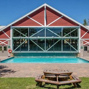 Cozy King Bed Suite - Pullout Couch - Pool On Grounds Shanty Bay Exterior photo