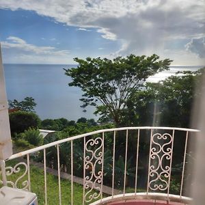 Fortune Sea View Villa Roseau Exterior photo