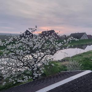 Luehe Loft - Direkt Am Wasser Im Alten Land Leilighet Mittelnkirchen Exterior photo