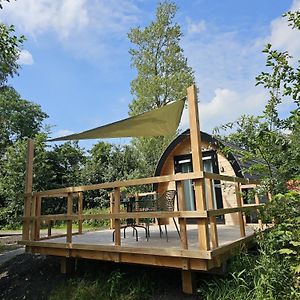 Tiny House De Kwekfink Hotell Westergeest Exterior photo