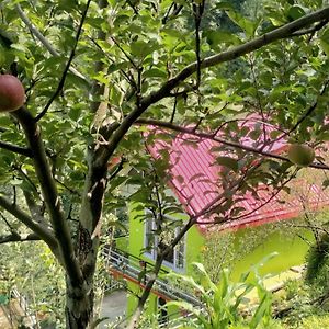 Apple Blossom Hideaway Narkanda Leilighet Shimla Exterior photo