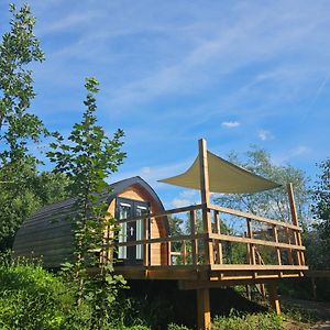 Tiny House De Piiptsjilling Hotell Westergeest Exterior photo