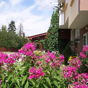 Zodiac House Hotell Samokov Exterior photo