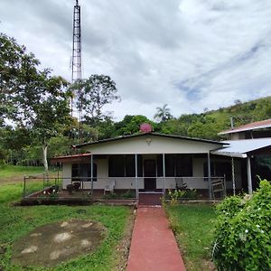 Hospedaje Refugio En El Bosque Villa Sabalito Exterior photo