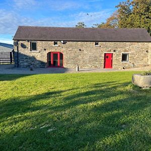 Chestnut Lodge Ballindrum R14Yw02 Athy Exterior photo