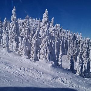 Olympic House Leilighet Jahorina Exterior photo