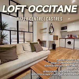 Loft Occitane Hyper Centre Castres Leilighet Castres  Exterior photo