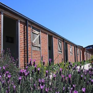 Dusty Hill Vineyard - Moffatdale Hotell Exterior photo