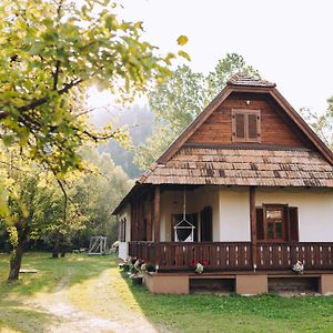 Kacor Guesthouse Lunca de Sus Exterior photo