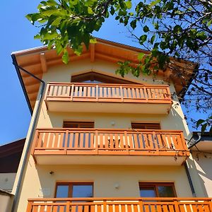 Le Nene - Dolomiti Guesthouse Pieve di Cadore Exterior photo