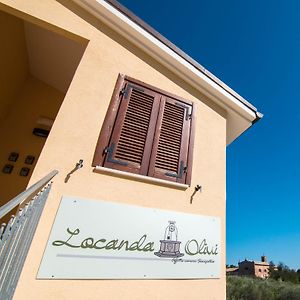 Locanda Olivi Affitta Camere Senigallia Exterior photo