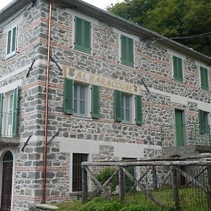 La Foresteria Della Beppa Leilighet Zeri Exterior photo