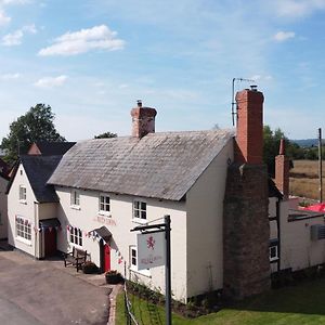 The Red Lion, Madley Hotell Hereford Exterior photo