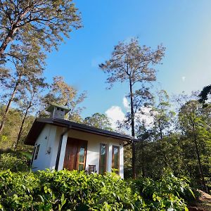 The Green Lush Hotell Pussellawa Exterior photo