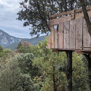 Grande Maison Carpediem, Le Calme A La Campagne Villa Cassaignes Exterior photo