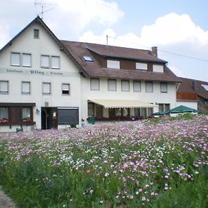 Gasthaus Pflug Bed & Breakfast Gemeinde Gemeinde Aichhalden Exterior photo