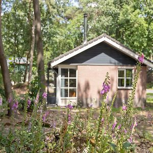 Nice Bungalow In A Car-Free Park Villa Vlierden Exterior photo