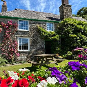 Shute Farm Bed & Breakfast Kingsbridge  Exterior photo